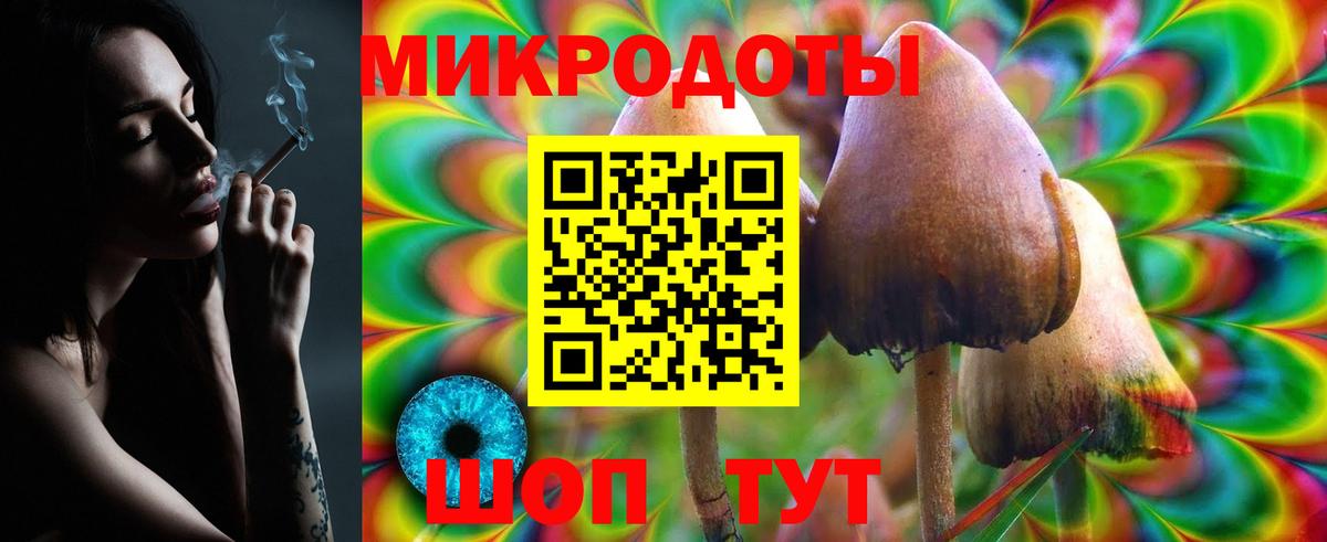 Елец  Псилоцибиновые грибы Psilocybine cubensis  Вход с VPN 